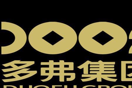 集团控股有限公司是什么意思