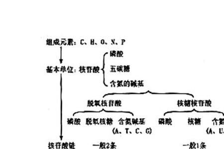 甘油是核苷酸的组成成分吗