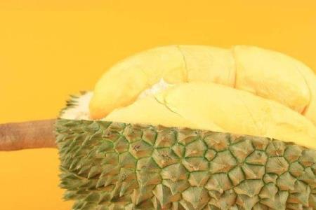 10月份还适合买榴莲吗