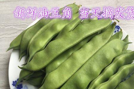 芸豆和菜豆的区别