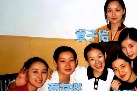 玫瑰之战刘小红扮演者