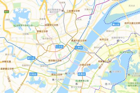 武汉市有多少个县