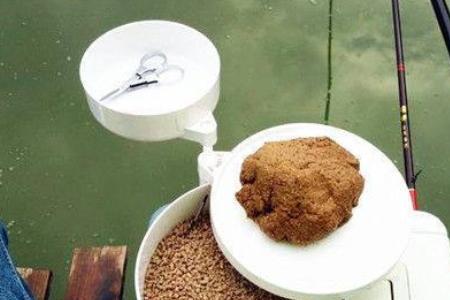 下奶鲫鱼用大鱼还是小鱼