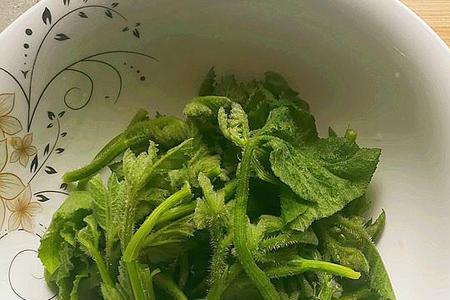 南瓜尖可以冷藏吗