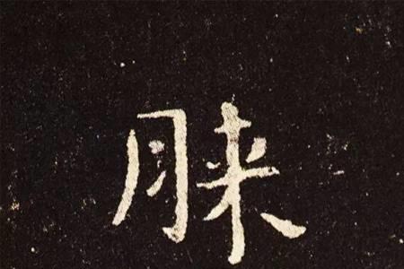谨顿首膝下啥意思