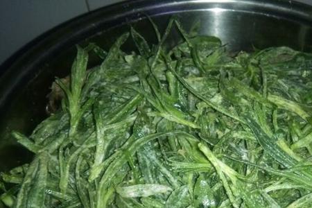 山菜和面条菜有区别吗