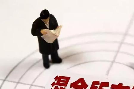 企业所有者性质