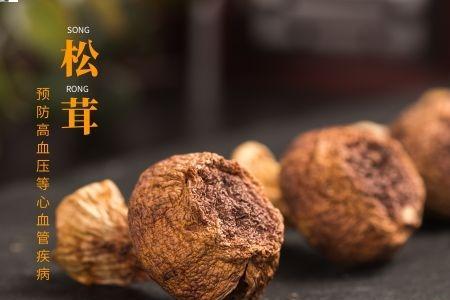 松茸的果实是