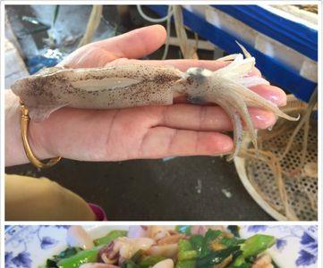 油泼大管蛸的做法大全