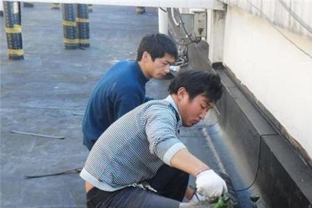 防水补漏属于什么分类