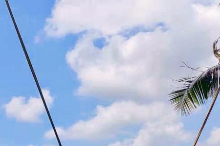 swing秋千是可数的吗