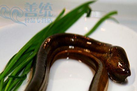 河北邯郸有野生黄鳝吗