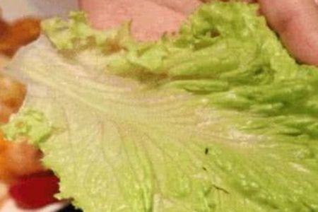 生菜叶片出现锈状斑点能吃吗
