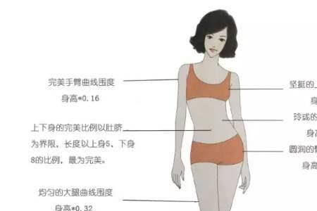 身高172cm多少算黄金比例