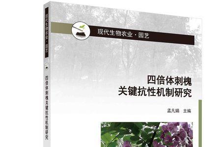 四倍体植物有哪些
