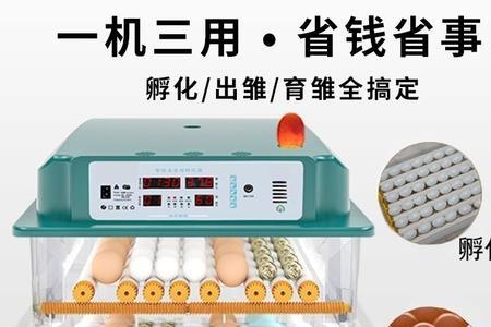 全自动孵化器需不需要盖毯子
