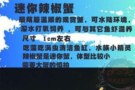 相手蟹和将军蟹能混养吗