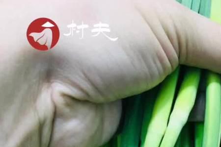 蒜苔前面的须子能吃吗