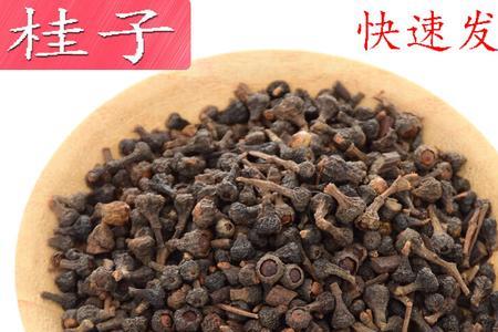 桂子是什么香料