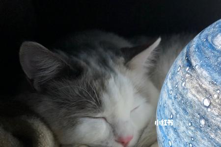 一千遍水星记什么意思