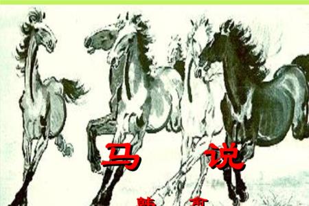 伯乐见笑的意思