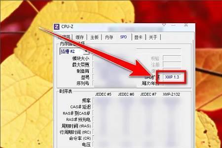内存xmp需要cpu支持吗