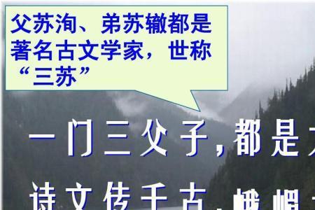 苏洵最后登科了吗