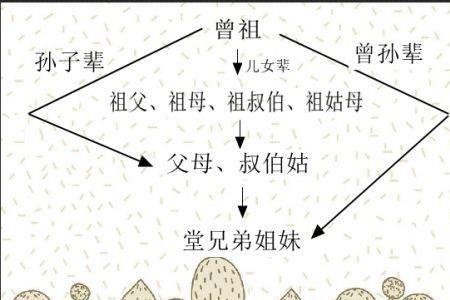 堂哥的儿子怎么称