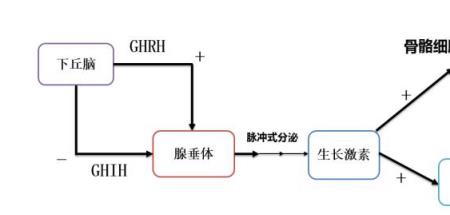 peg 沉淀原理