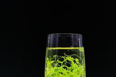 龙须绞股蓝茶几片叶子