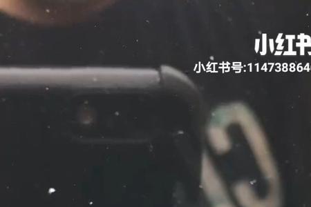 金波子和蓝波子可以混养吗