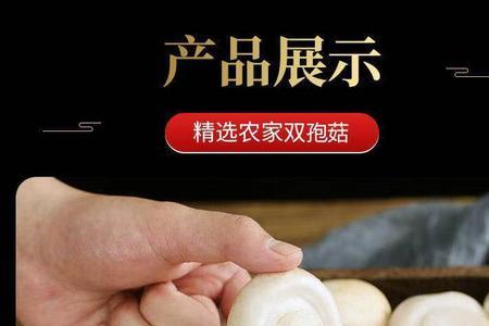 双孢菇和白蘑菇是一种蘑菇吗