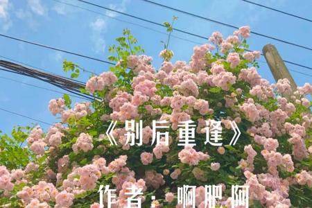 久别重逢和破镜重圆区别