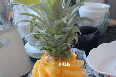 菠萝精是什么