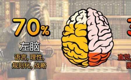 人如果没有了右脑会怎样