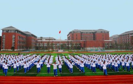 七中东校好还是总校好