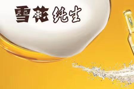雪花纯生和珠江纯生哪个好喝