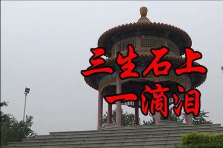泪中泪原唱完整版