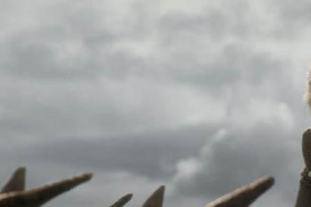 权力的游戏龙母火中复生第几集