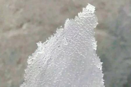 别人说你屑是什么意思
