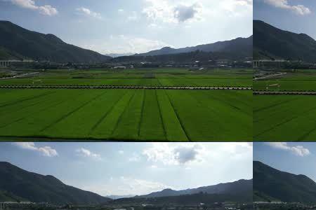 一片片绿油油的农田仿写