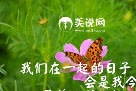 白驹过隙形容感情是什么意思
