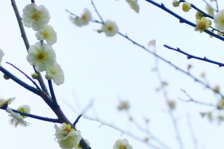 清风过处春乃发生是什么意思