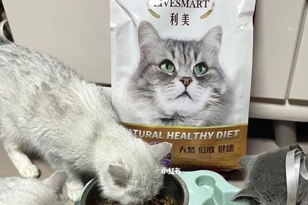 猫为什么不吃吃剩的猫粮
