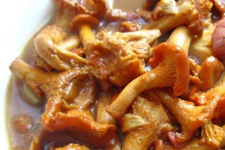 干黄丝菌的做法大全