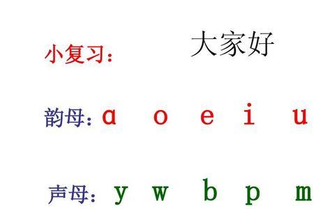 y能和哪些整体认读音节的单韵母