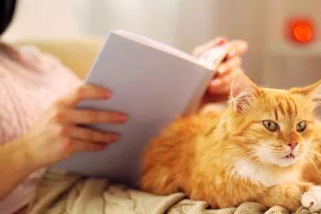 为啥养猫的身上有猫味