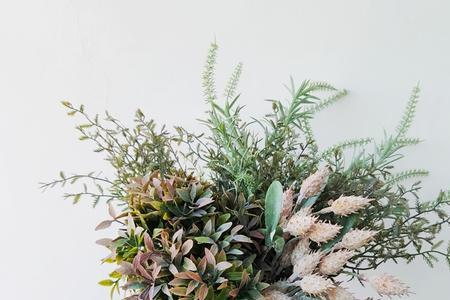 竹鱼花叶子粘手是怎么回事