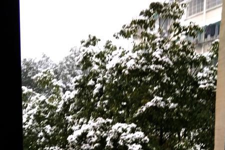 陌上吟归雪诗句