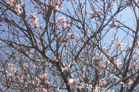 vjh是什么意思